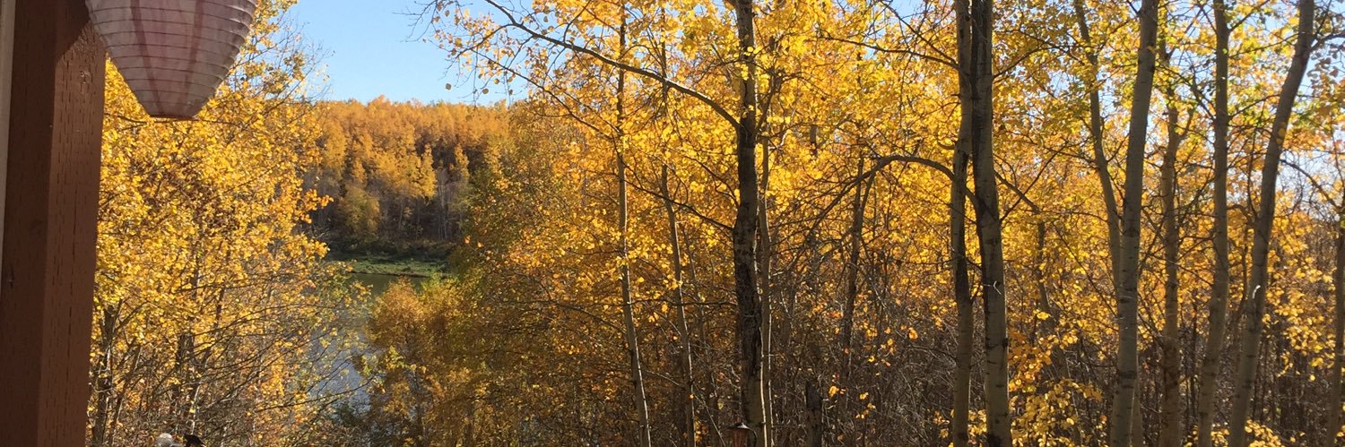 Gerry🇨🇦 banner