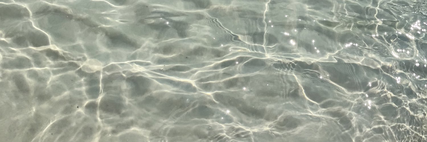 Chelsea Randle banner