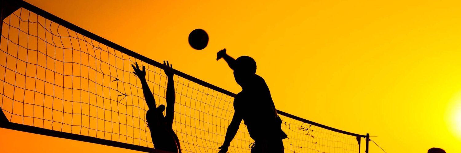 Volley_2_ball's profile banner image