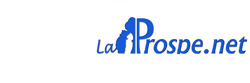 laprospenet's profile banner image