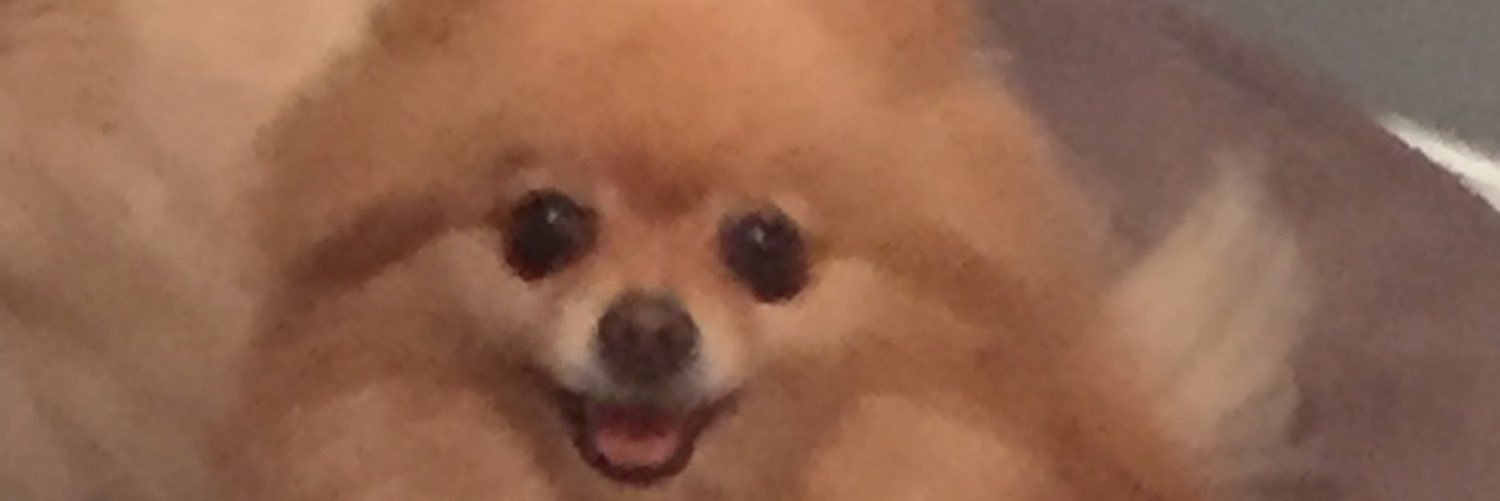 IngridMode's profile banner image