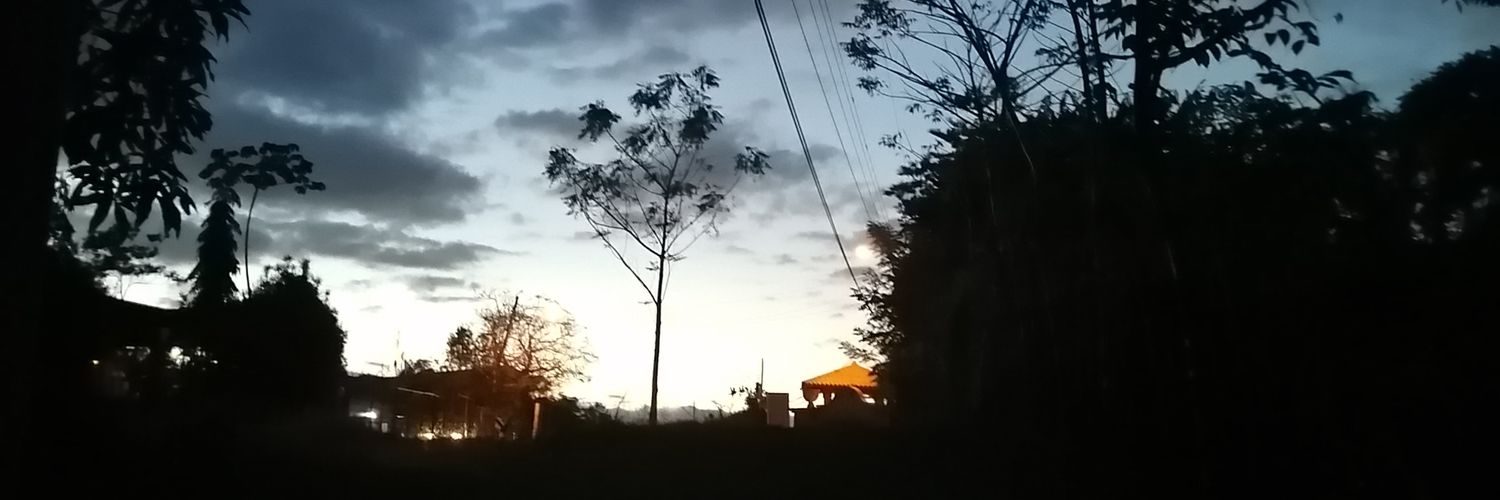 _sjanice's profile banner image