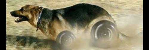 :) banner