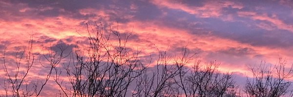 Capt1214 Profile Banner