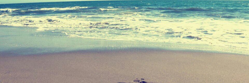 marietatorro88's profile banner image