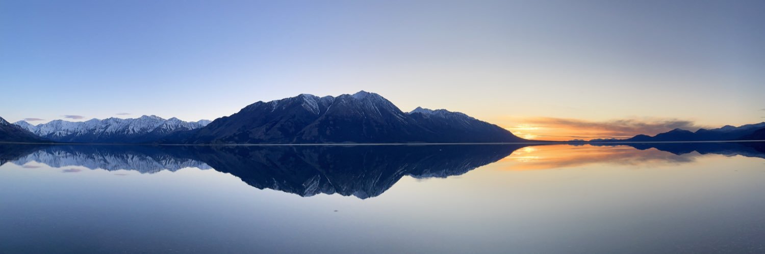 David V. Wright banner