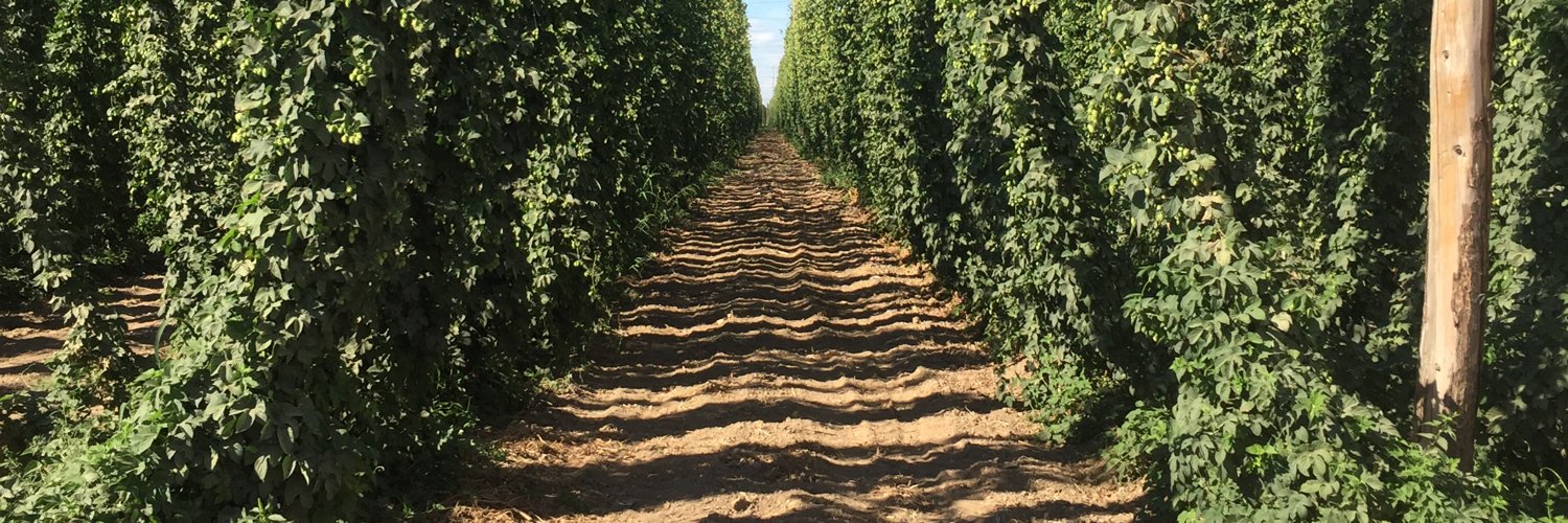 madtree_rowe's profile banner image