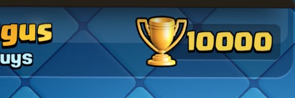 fut_fungus's profile banner image