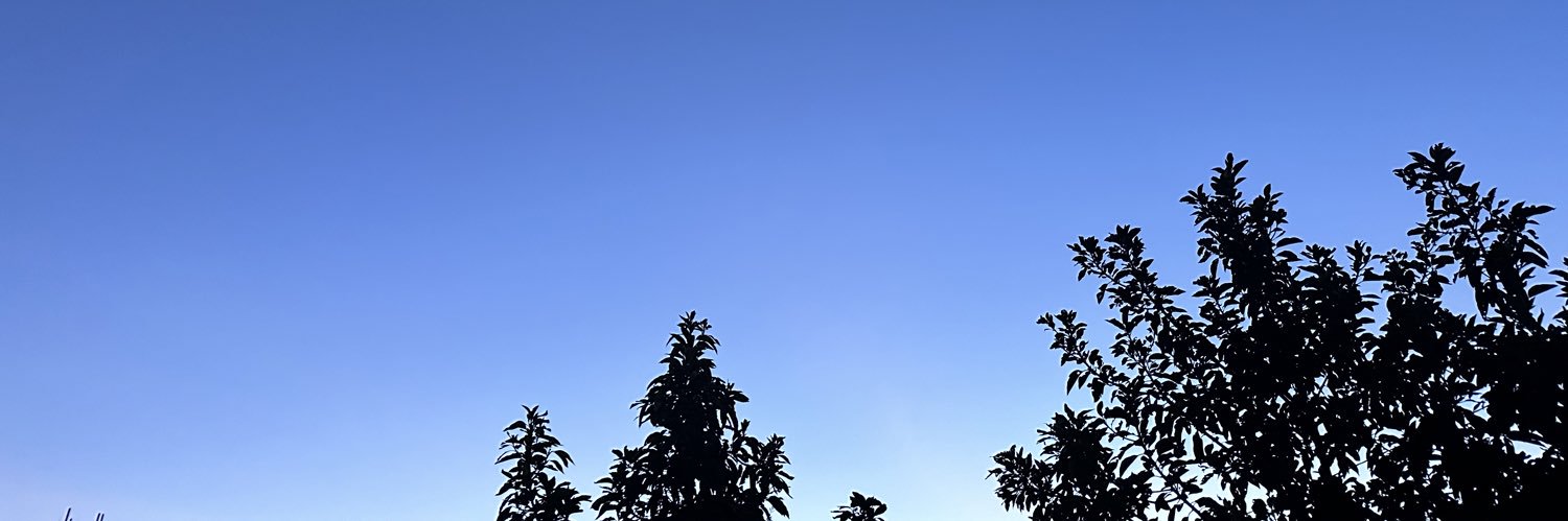m_alexflo's profile banner image