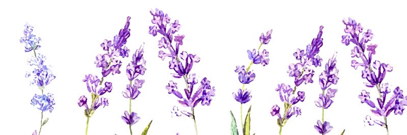 bobanamu's profile banner image