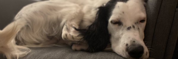 sw_calum Profile Banner