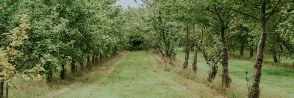 CiderVoice Profile Banner