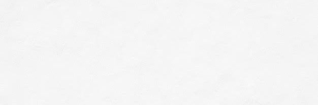 bruno banner