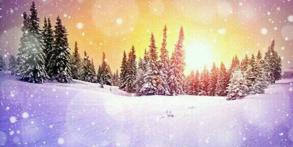 seval_85's profile banner image