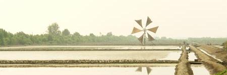 samut007's profile banner image