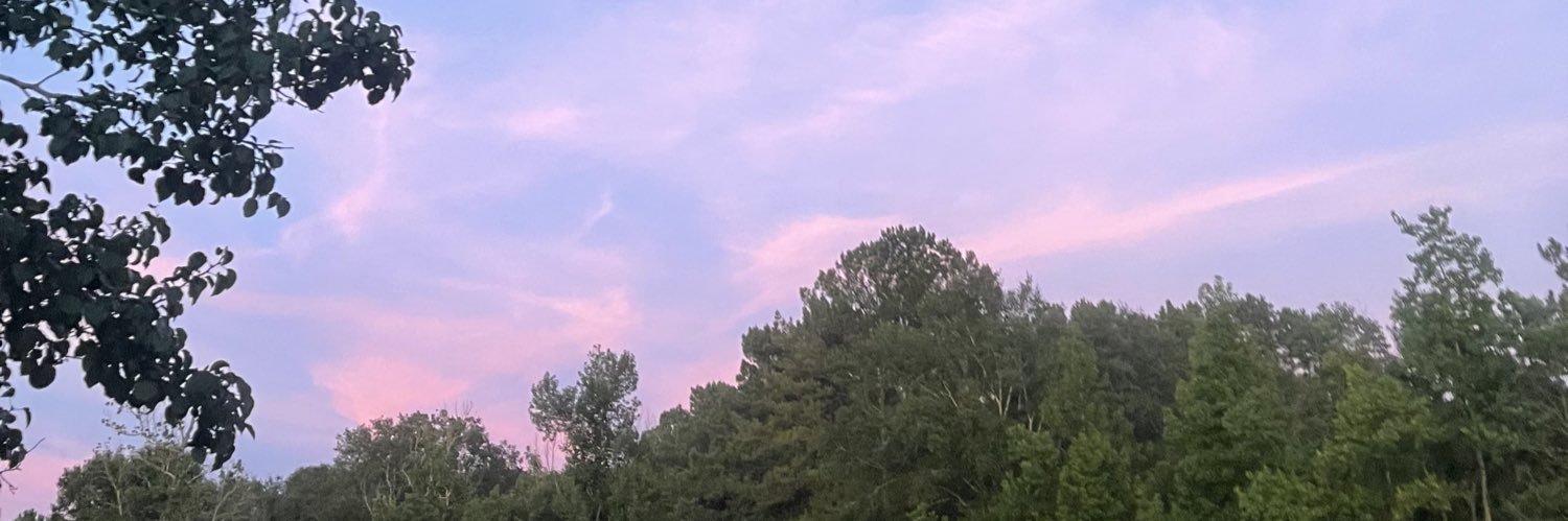 ChelsieBiano's profile banner image