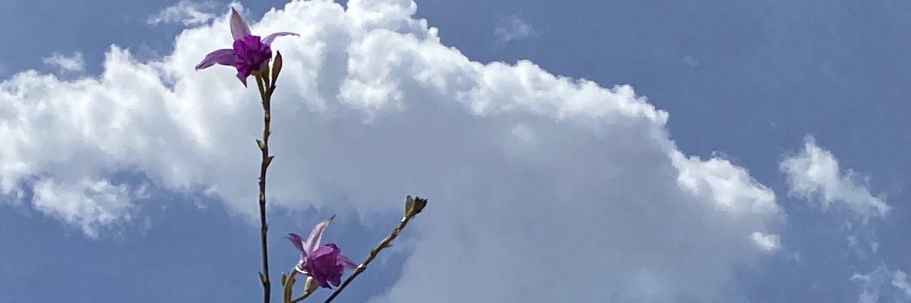 mareabaja's profile banner image