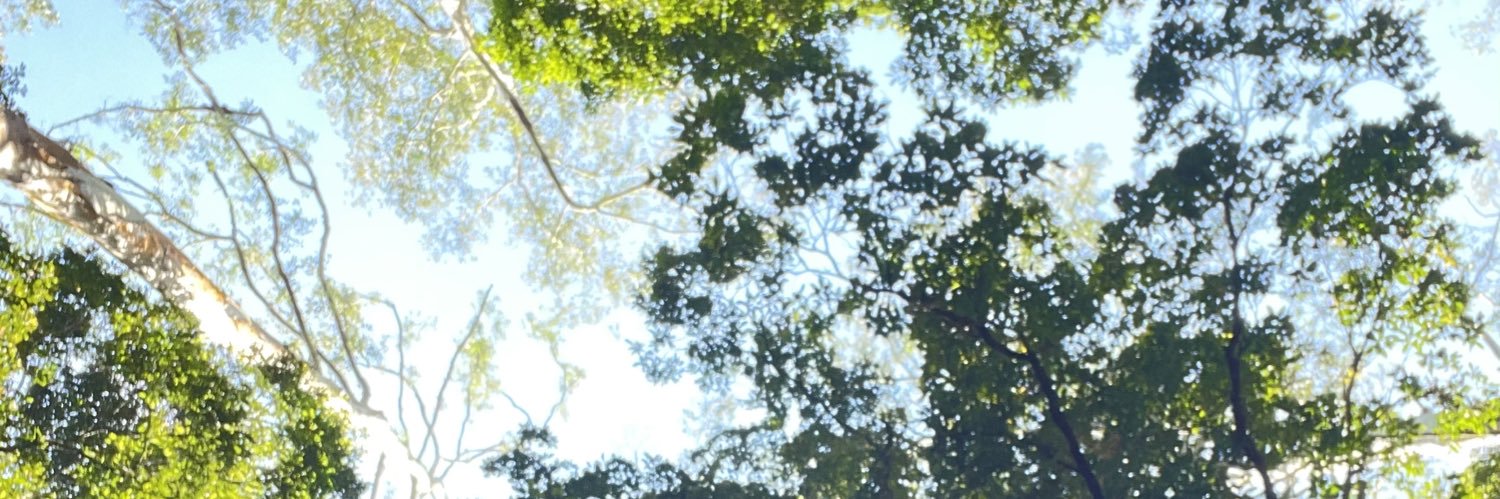 gadissabunga's profile banner image