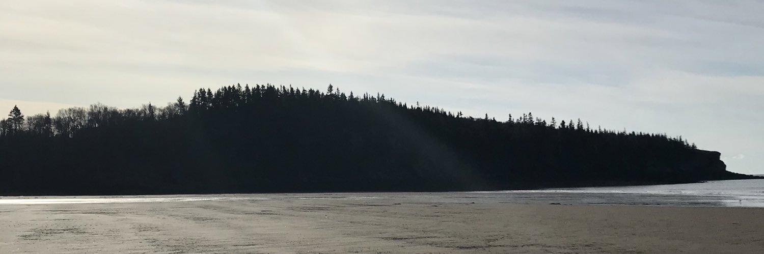 love_elora's profile banner image