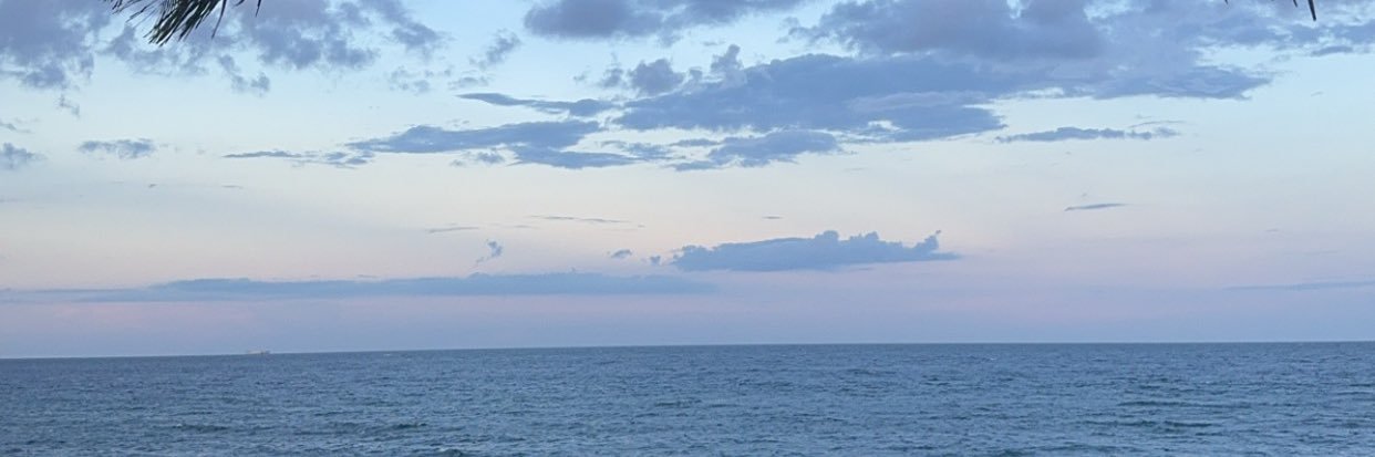 Veronica Gillotte banner