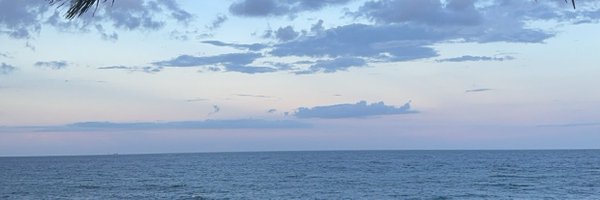 VGillotte Profile Banner