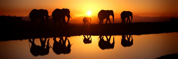 sridrang Profile Banner