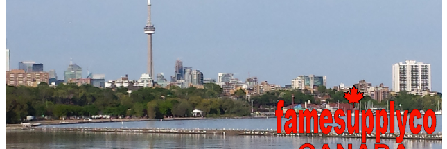 FAMESUPPLYCO's profile banner image
