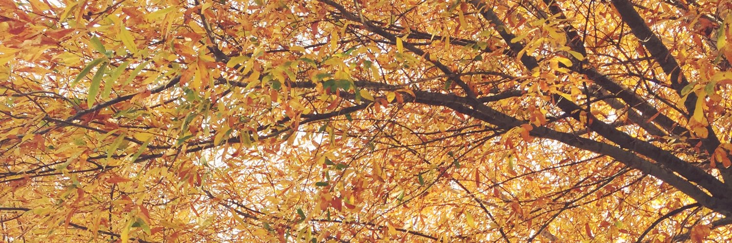kmhem's profile banner image