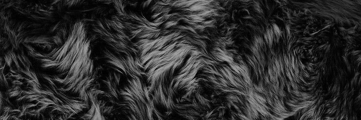 StilesAnalyse's profile banner image