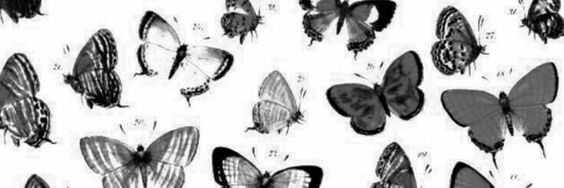 mikalay_'s profile banner image