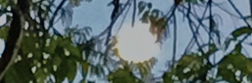 naganalfs's profile banner image
