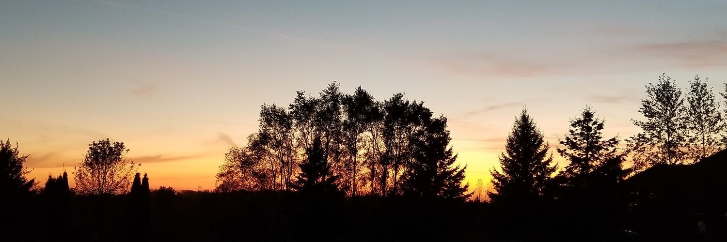 Pajarito249's profile banner image