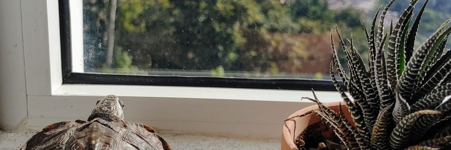 pc_marian's profile banner image
