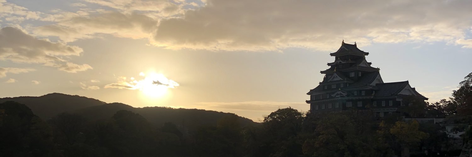 NYoshi64's profile banner image