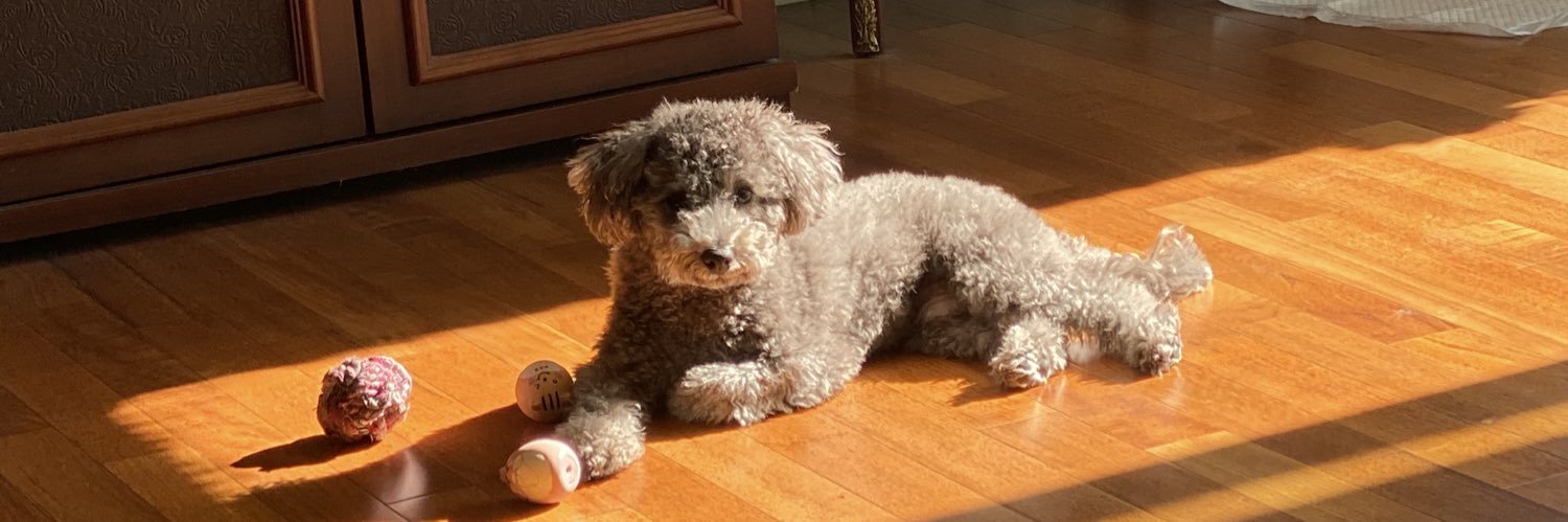 JinLoclo's profile banner image