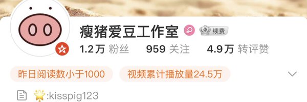 spigstudio Profile Banner