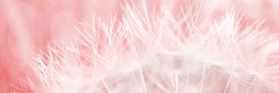 afnipeni's profile banner image