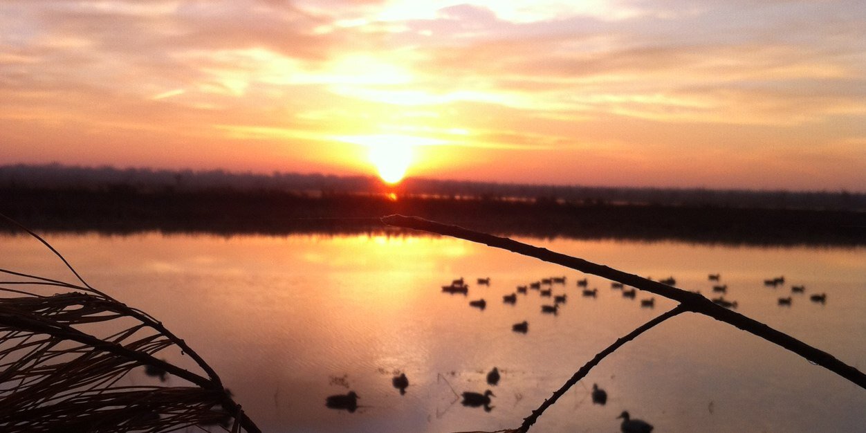 Ky_fields's profile banner image