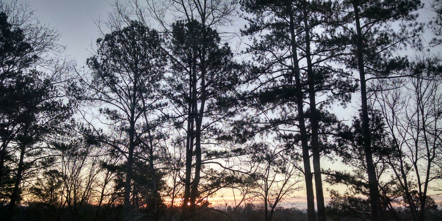 acouplethree's profile banner image