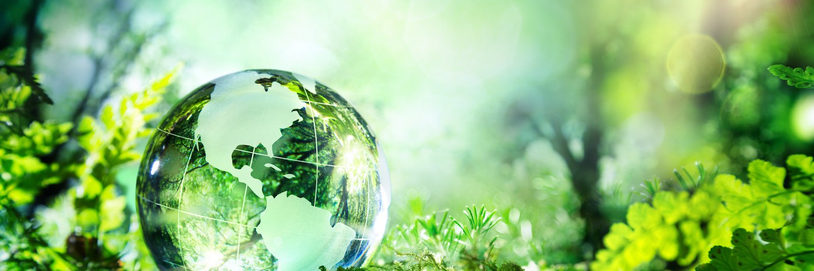 INNOGREEN1's profile banner image