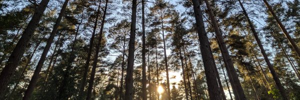 DLTKMW Profile Banner