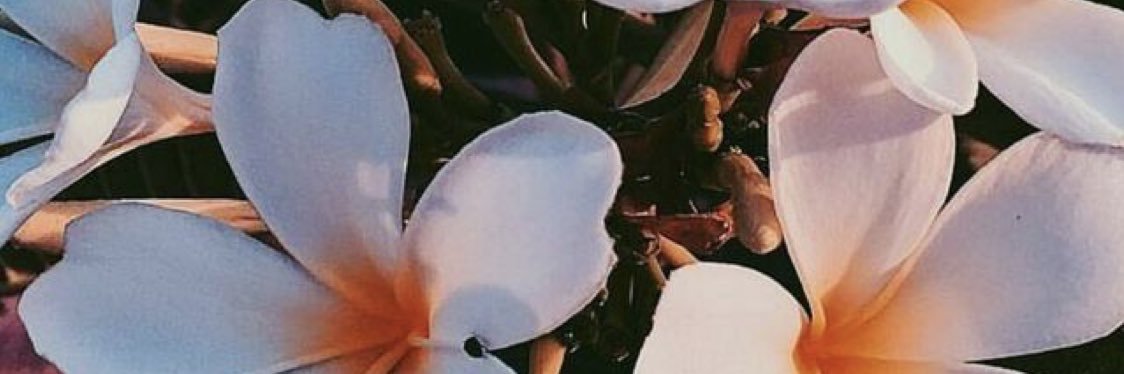 _laikynmurfin's profile banner image