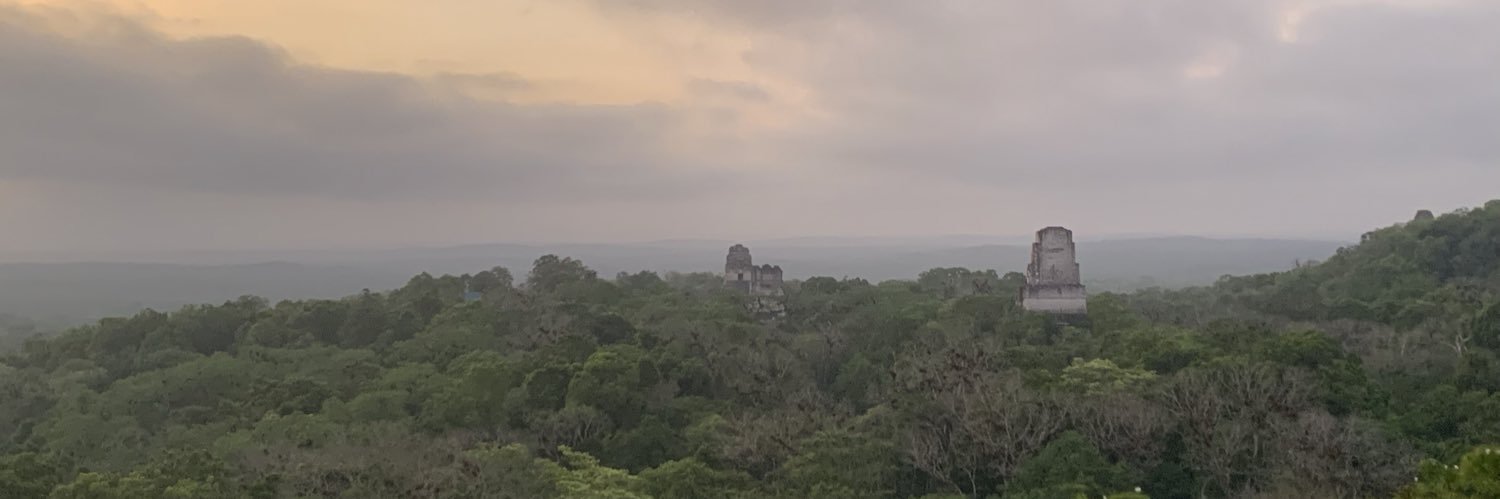 lulasbe's profile banner image