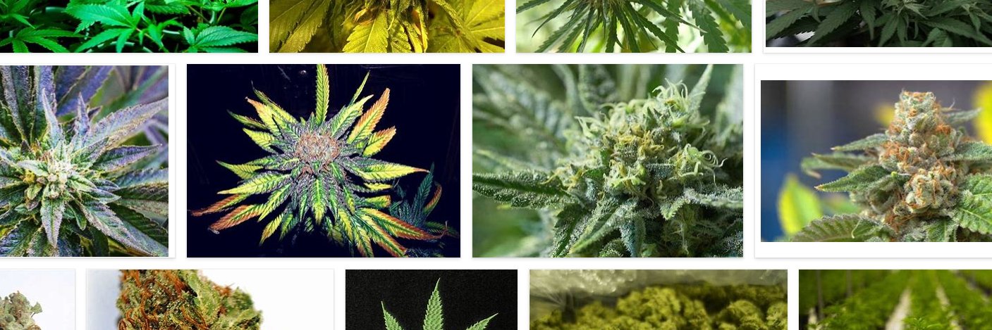 News Token Pool banner