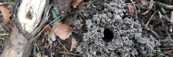 Aaron_Bhambra1 Profile Banner