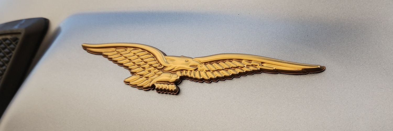 ぴっ太 ⍨⃝︎ banner