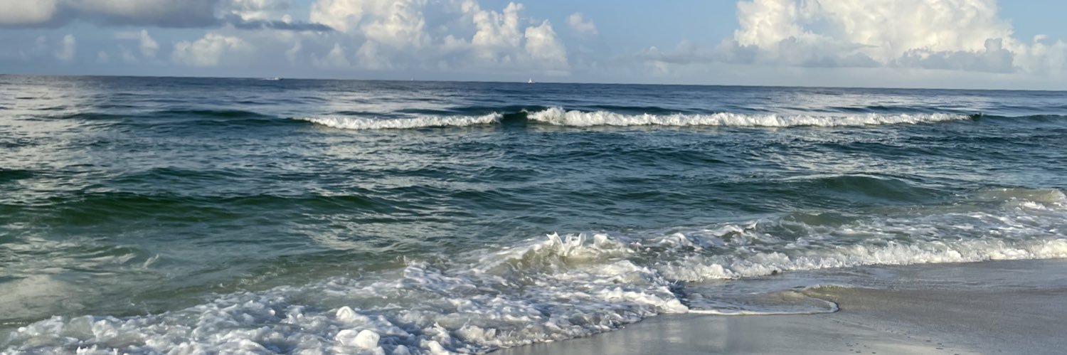 tami_mcgehee's profile banner image