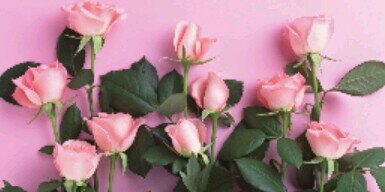 ghaegha_15's profile banner image