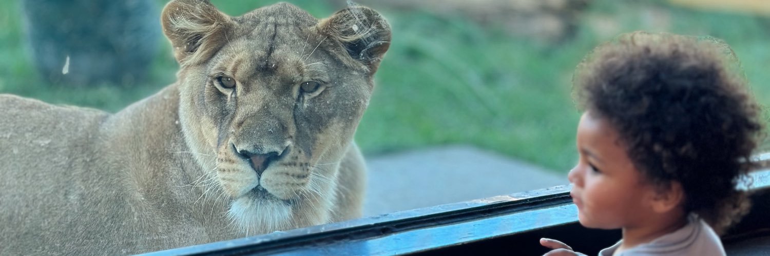 bFUR13's profile banner image