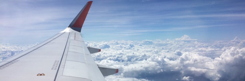 miaamal's profile banner image